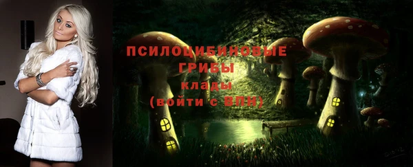 прущие крисы Беломорск
