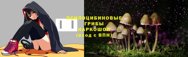 прущие крисы Беломорск