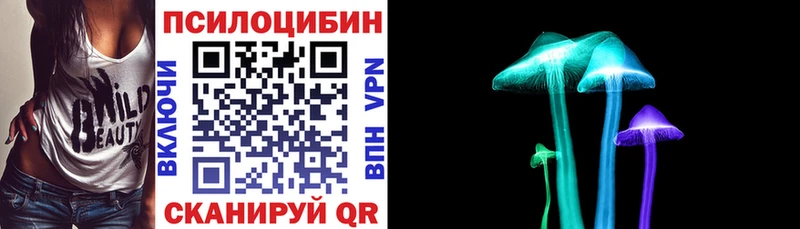 Галлюциногенные грибы Psilocybe Купить закладки Гусь-Хрустальный
