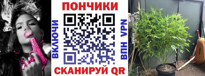 Канабис марихуана  Купить где  Гусь-Хрустальный 